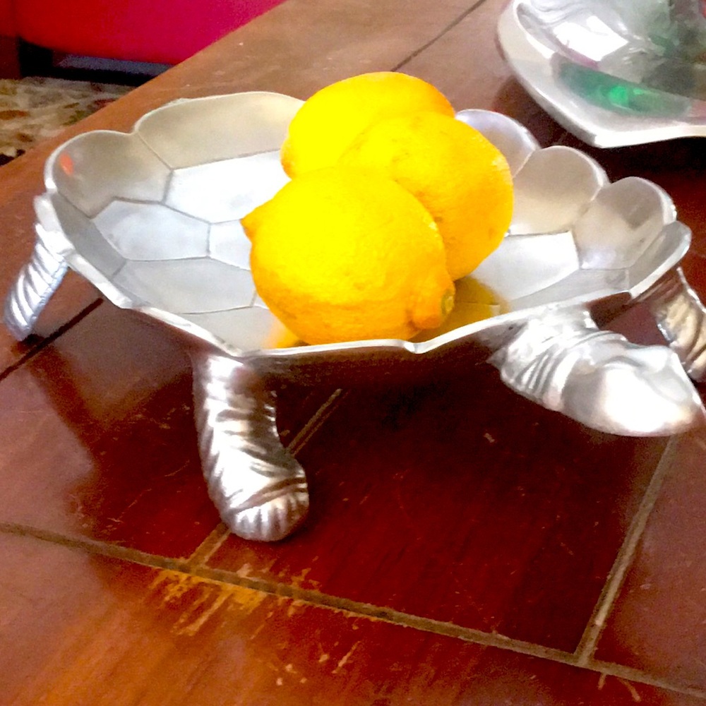 Silver Turtle 🐢 tray. World Market